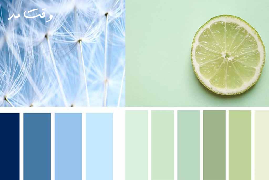 رنگ سرد چیست و چه کاربردی دارد