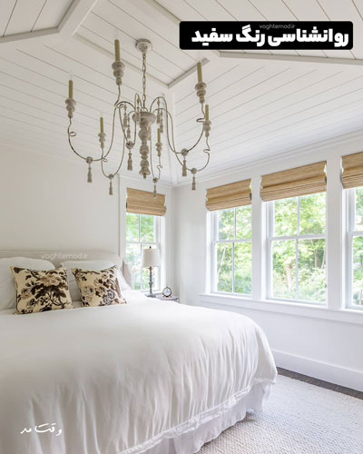 رنگ سفید نشانه پاکی، نجابت و بی گناهی است.