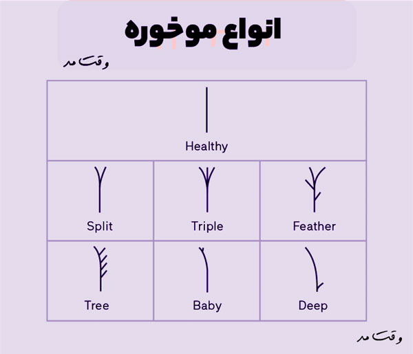 انواع شکل و مدل موخوره را مشاهده میکنید.