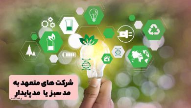 برندها و شرکت های حامی مد سبز یا پایدار