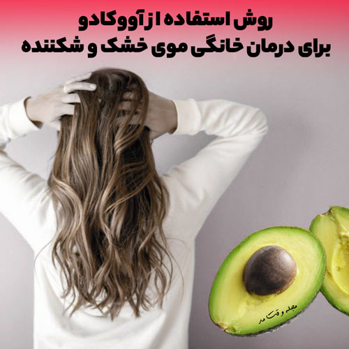 آموزش استفاده از ماسک موی آووکادو و روغن زیتون برای درمان و ترمیم موی خشک و وز