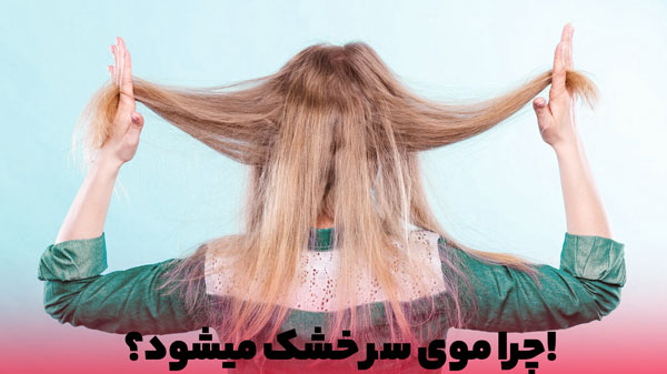 مدلی از موهای خشک و وز در عین حال شکسته را مشاهده میکنید.