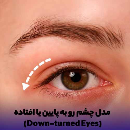 مدل چشم رو به پایین یا افتاده