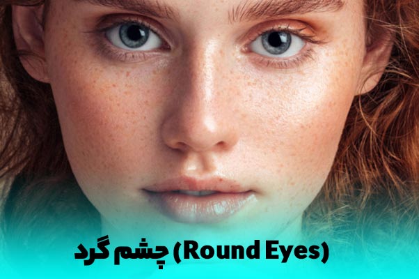 مدلی از فرم چشم گرد