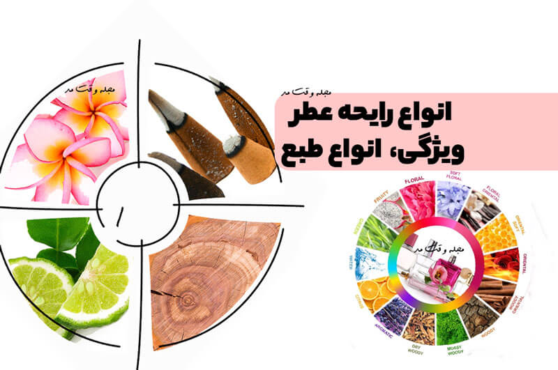 انواع رایحه عطر! ویژگی، خصوصیات، تفاوت انواع طبع و گروه بویایی عطر ها