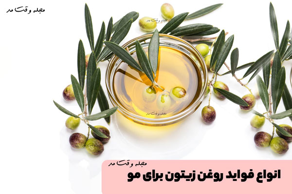 انواع فواید روغن زیتون برای مو