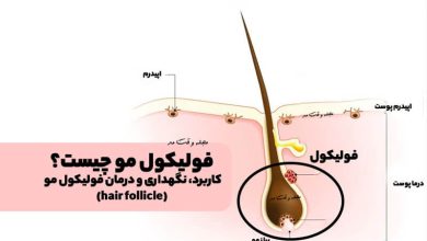 فولیکول مو چیست؟ کاربرد، ویژگی، روش های نگهداری و درمان فولیکول مو(hair follicle)