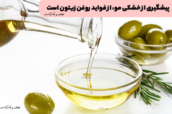 پیشگیری از خشکی مو، از فواید روغن زیتون است
