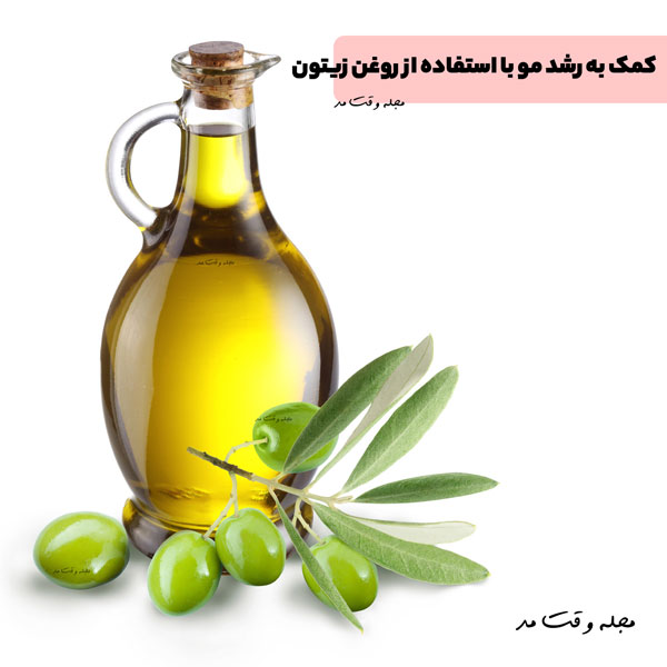 کمک به رشد مو با استفاده از روغن زیتون