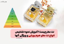 نت عطر چیست؟ آموزش نحوه تشخیص انواع نت عطر، هرم بویایی و ویژگی آنها