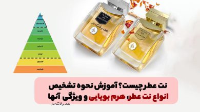 نت عطر چیست؟ آموزش نحوه تشخیص انواع نت عطر، هرم بویایی و ویژگی آنها