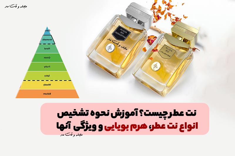 نت عطر چیست؟ آموزش نحوه تشخیص انواع نت عطر، هرم بویایی و ویژگی آنها