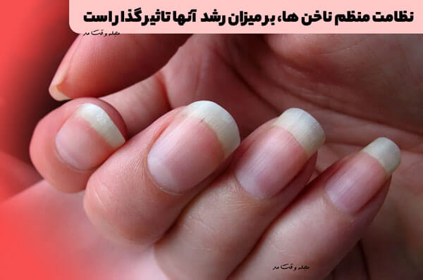 نظامت منظم ناخن ها، بر میزان رشد آنها تاثیر گذار است